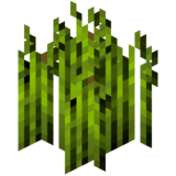 Стадия роста хмеля 7 (IndustrialCraft 2).png